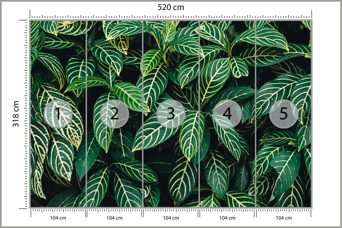 Fototapeta Liście Tropikalne Gęsta Zieleń 520 × 318 cm – podgląd kadru