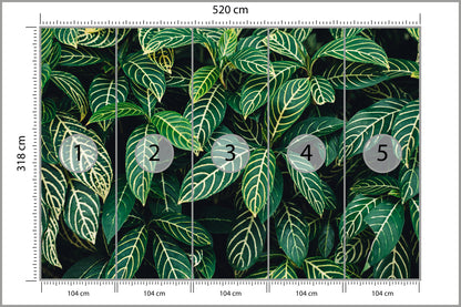 Fototapeta Liście Tropikalne Gęsta Zieleń 520 × 318 cm – podgląd kadru