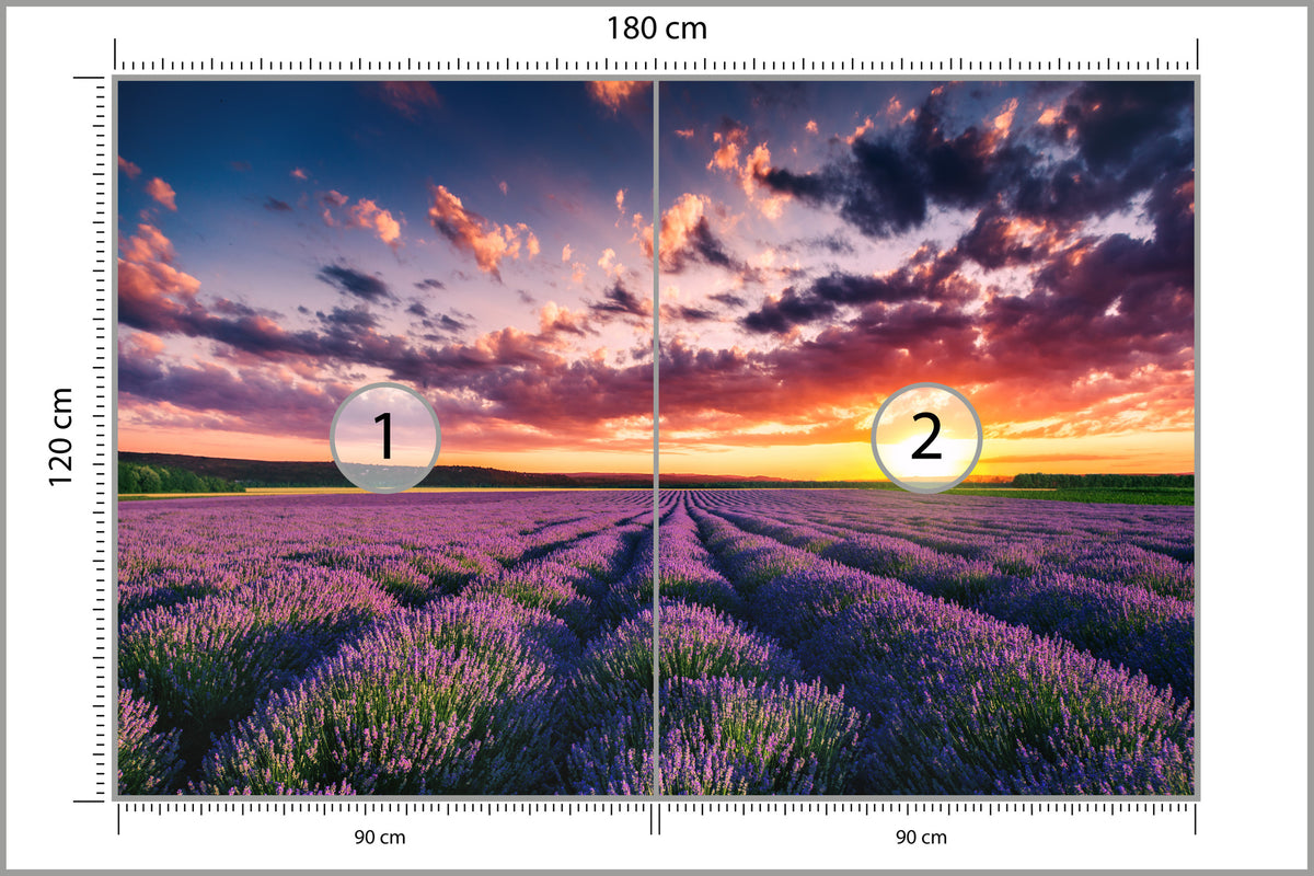Fototapeta Pole Lawenda O Zachodzie Słońca 180 × 120 cm – podgląd kadru