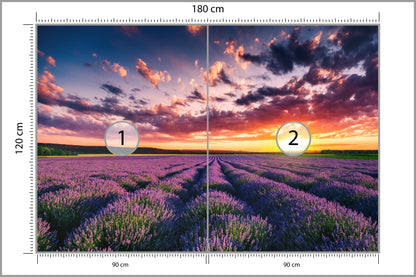 Fototapeta Pole Lawenda O Zachodzie Słońca 180 × 120 cm – podgląd kadru