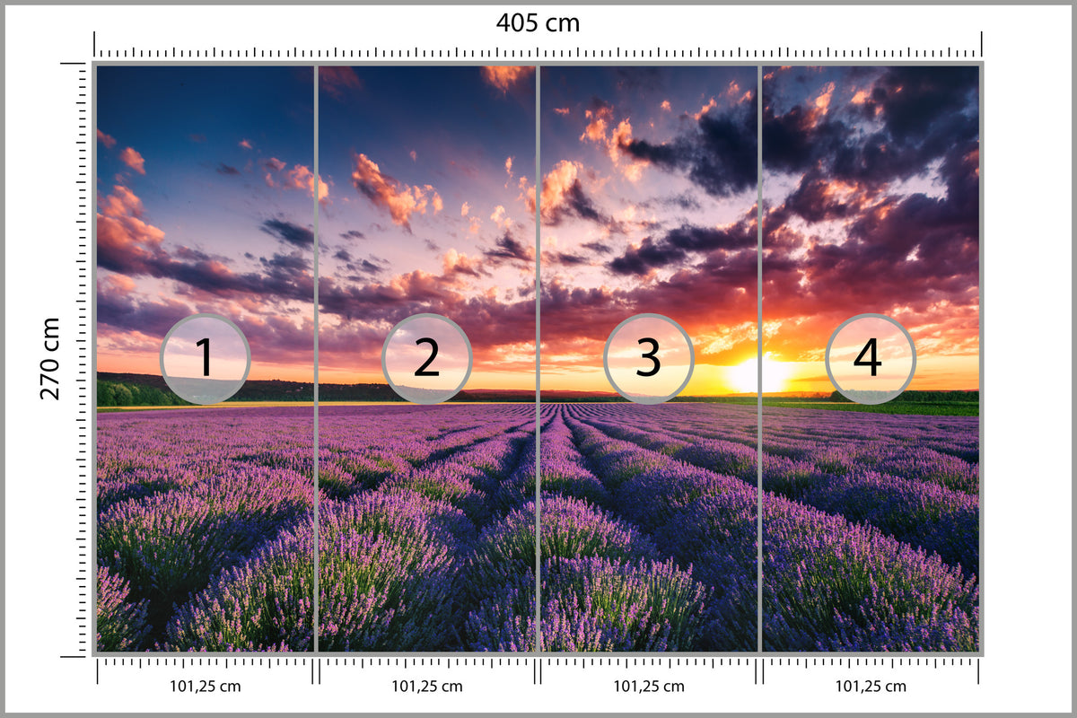 Fototapeta Pole Lawenda O Zachodzie Słońca 405 × 270 cm – podgląd kadru