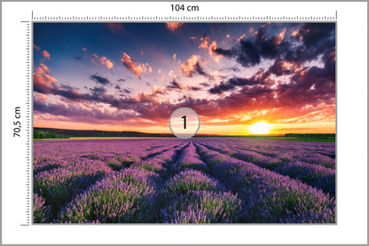 Fototapeta Pole Lawenda O Zachodzie Słońca 104 × 70,5 cm – podgląd kadru