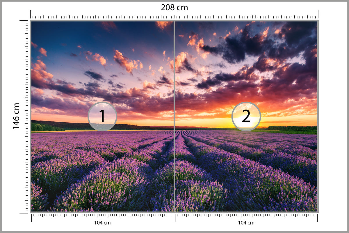 Fototapeta Pole Lawenda O Zachodzie Słońca 208 × 146 cm – podgląd kadru