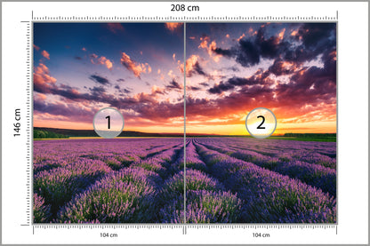Fototapeta Pole Lawenda O Zachodzie Słońca 208 × 146 cm – podgląd kadru