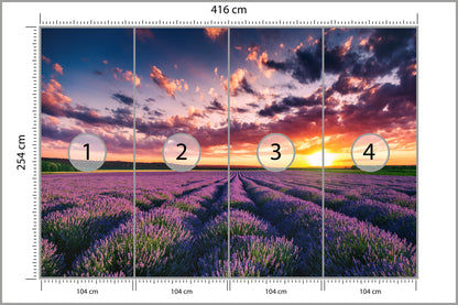 Fototapeta Pole Lawenda O Zachodzie Słońca 416 × 254 cm – podgląd kadru