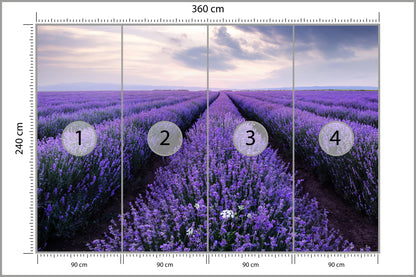 Fototapeta Lawendowe Pole 360 × 240 cm – podgląd kadru