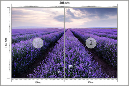 Fototapeta Lawendowe Pole 208 × 146 cm – podgląd kadru