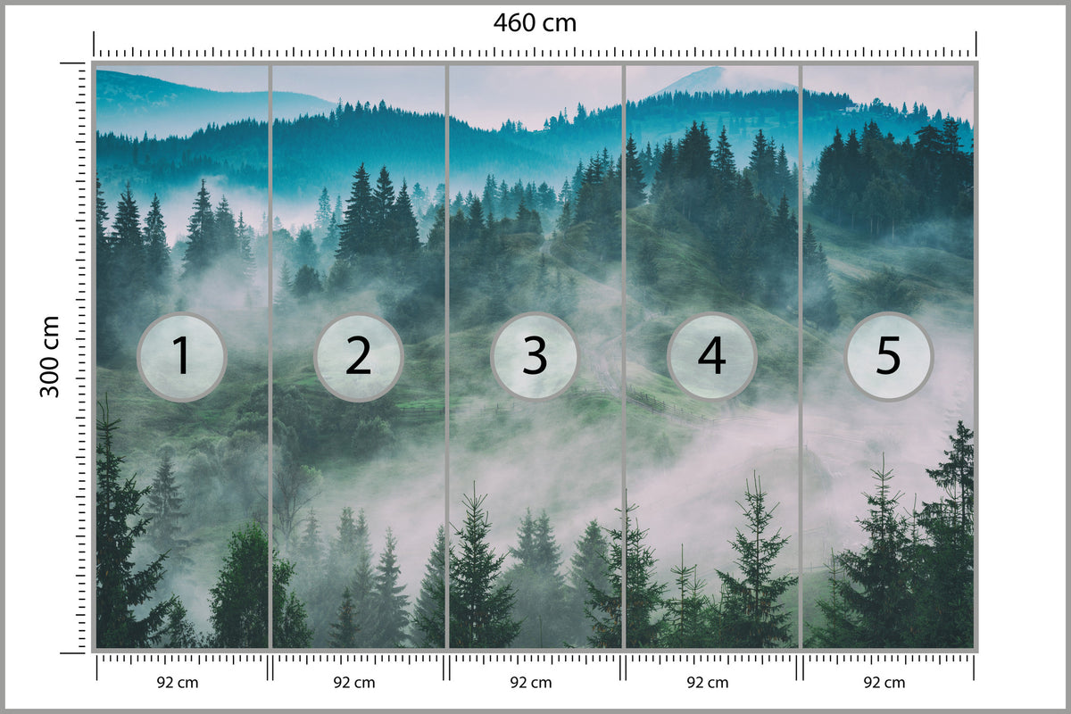 Fototapeta Las We Mgle Świerki W Turkusie 460 × 300 cm – podgląd kadru