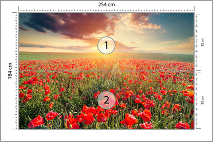 Fototapeta Pole Maków O Zachodzie Słońca 254 × 184 cm – podgląd kadru