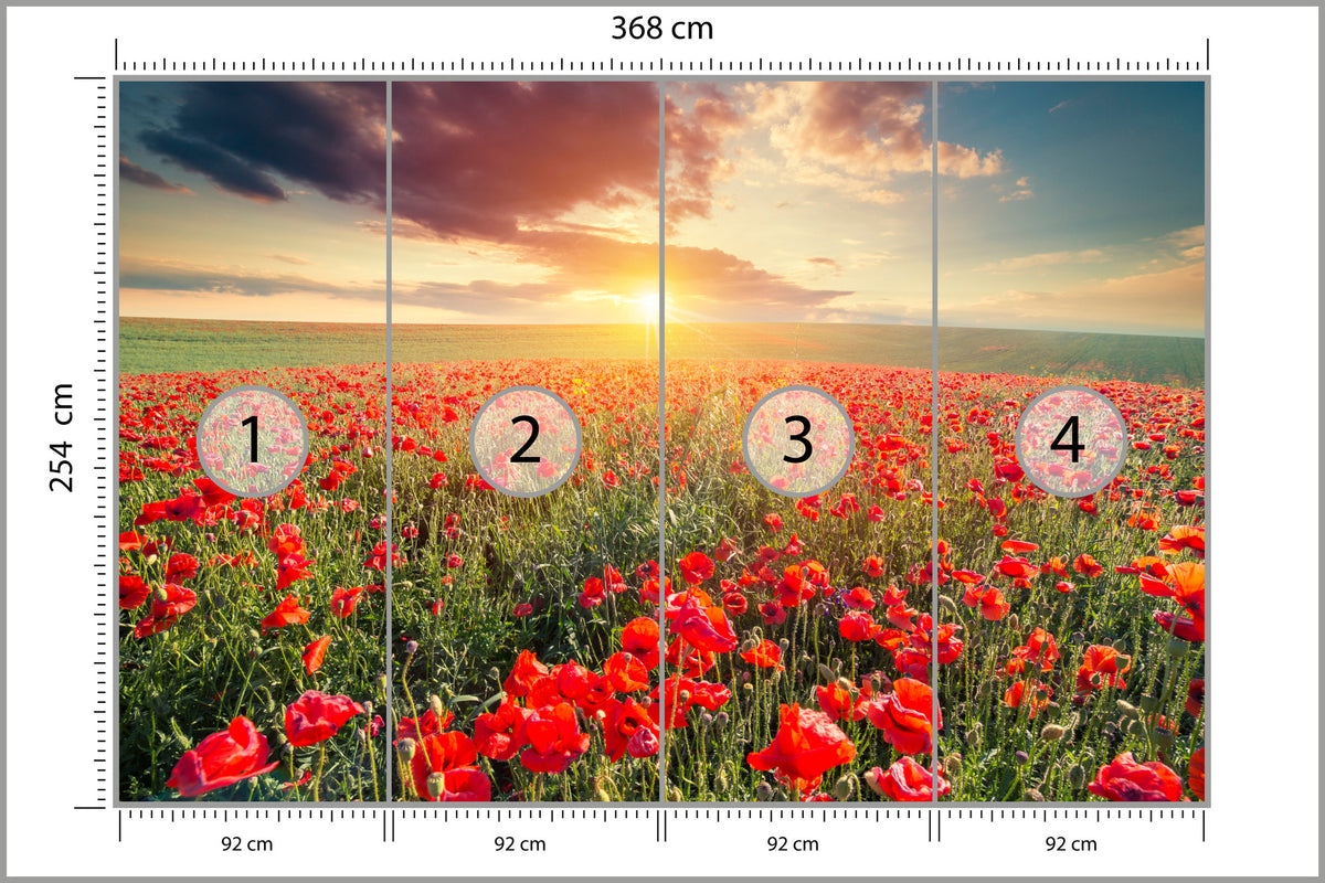 Fototapeta Pole Maków O Zachodzie Słońca 368 × 254 cm – podgląd kadru