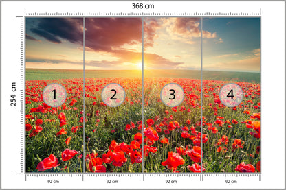 Fototapeta Pole Maków O Zachodzie Słońca 368 × 254 cm – podgląd kadru