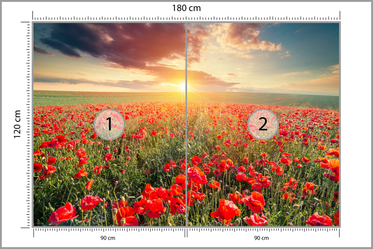 Fototapeta Pole Maków O Zachodzie Słońca 180 × 120 cm – podgląd kadru