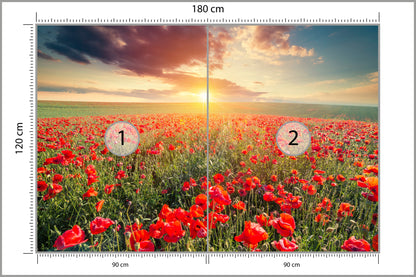 Fototapeta Pole Maków O Zachodzie Słońca 180 × 120 cm – podgląd kadru