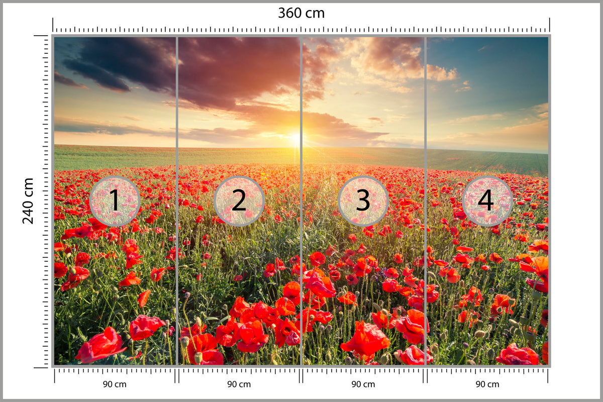 Fototapeta Pole Maków O Zachodzie Słońca 360 × 240 cm – podgląd kadru