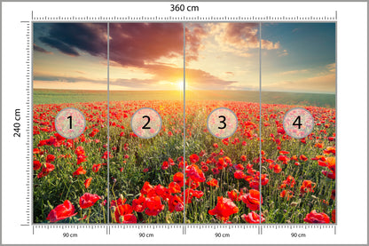 Fototapeta Pole Maków O Zachodzie Słońca 360 × 240 cm – podgląd kadru