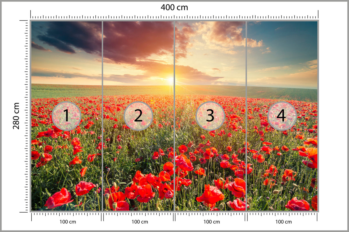 Fototapeta Pole Maków O Zachodzie Słońca 400 × 280 cm – podgląd kadru