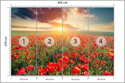 Fototapeta Pole Maków O Zachodzie Słońca 405 × 270 cm – podgląd kadru