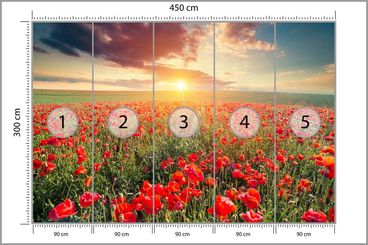 Fototapeta Pole Maków O Zachodzie Słońca 450 × 300 cm – podgląd kadru