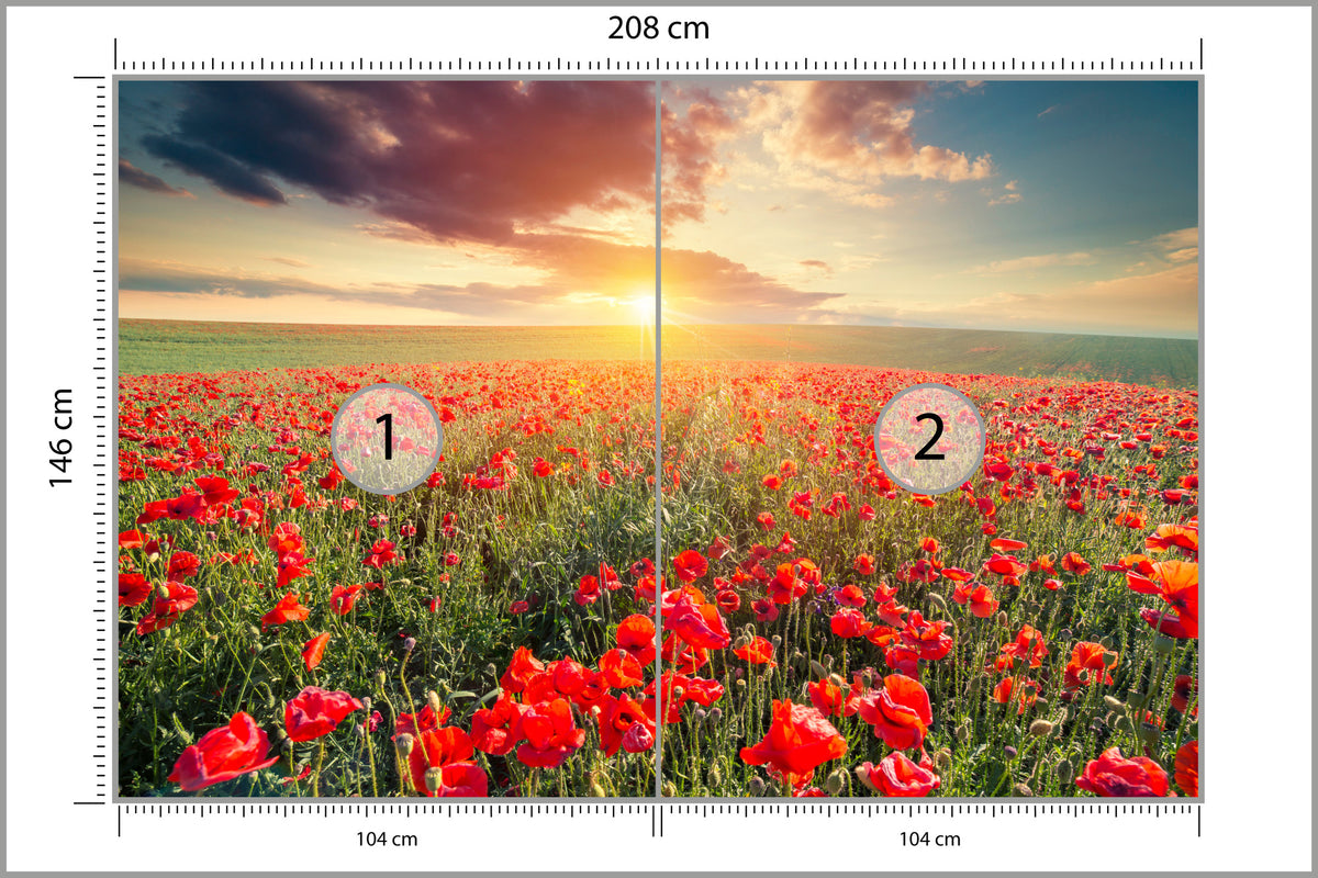 Fototapeta Pole Maków O Zachodzie Słońca 208 × 146 cm – podgląd kadru