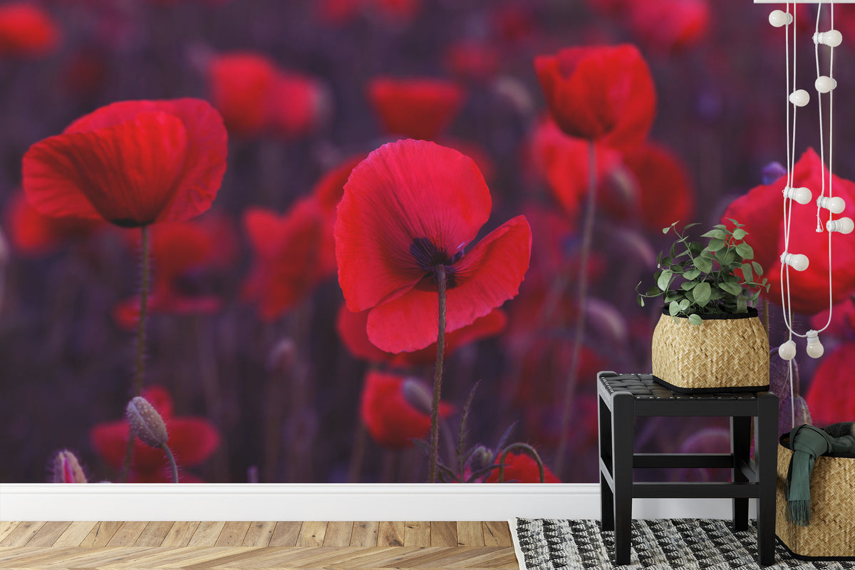 Fototapeta Dzikie Czerwone Maki – aranżacja wnętrza