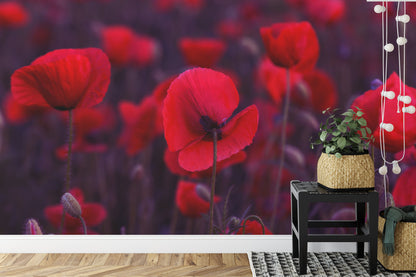 Fototapeta Dzikie Czerwone Maki – aranżacja wnętrza