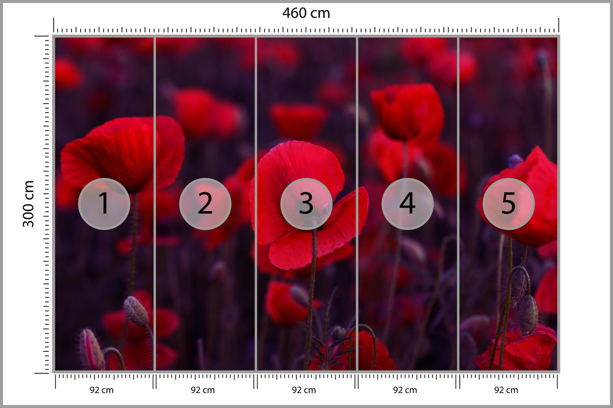 Fototapeta Dzikie Czerwone Maki 460 × 300 cm – podgląd kadru