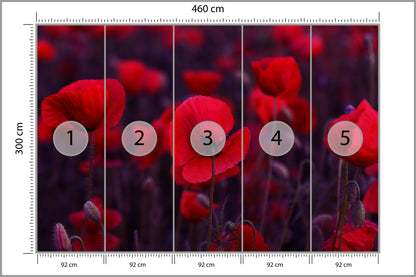 Fototapeta Dzikie Czerwone Maki 460 × 300 cm – podgląd kadru