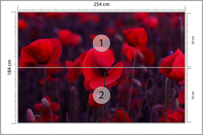 Fototapeta Dzikie Czerwone Maki 254 × 184 cm – podgląd kadru