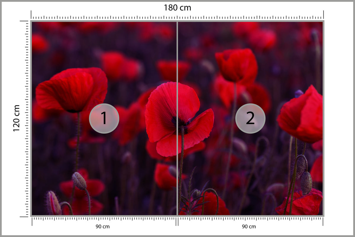 Fototapeta Dzikie Czerwone Maki 180 × 120 cm – podgląd kadru