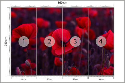 Fototapeta Dzikie Czerwone Maki 360 × 240 cm – podgląd kadru