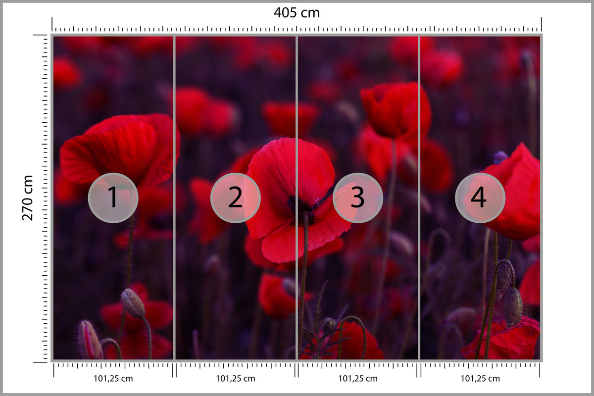 Fototapeta Dzikie Czerwone Maki 405 × 270 cm – podgląd kadru