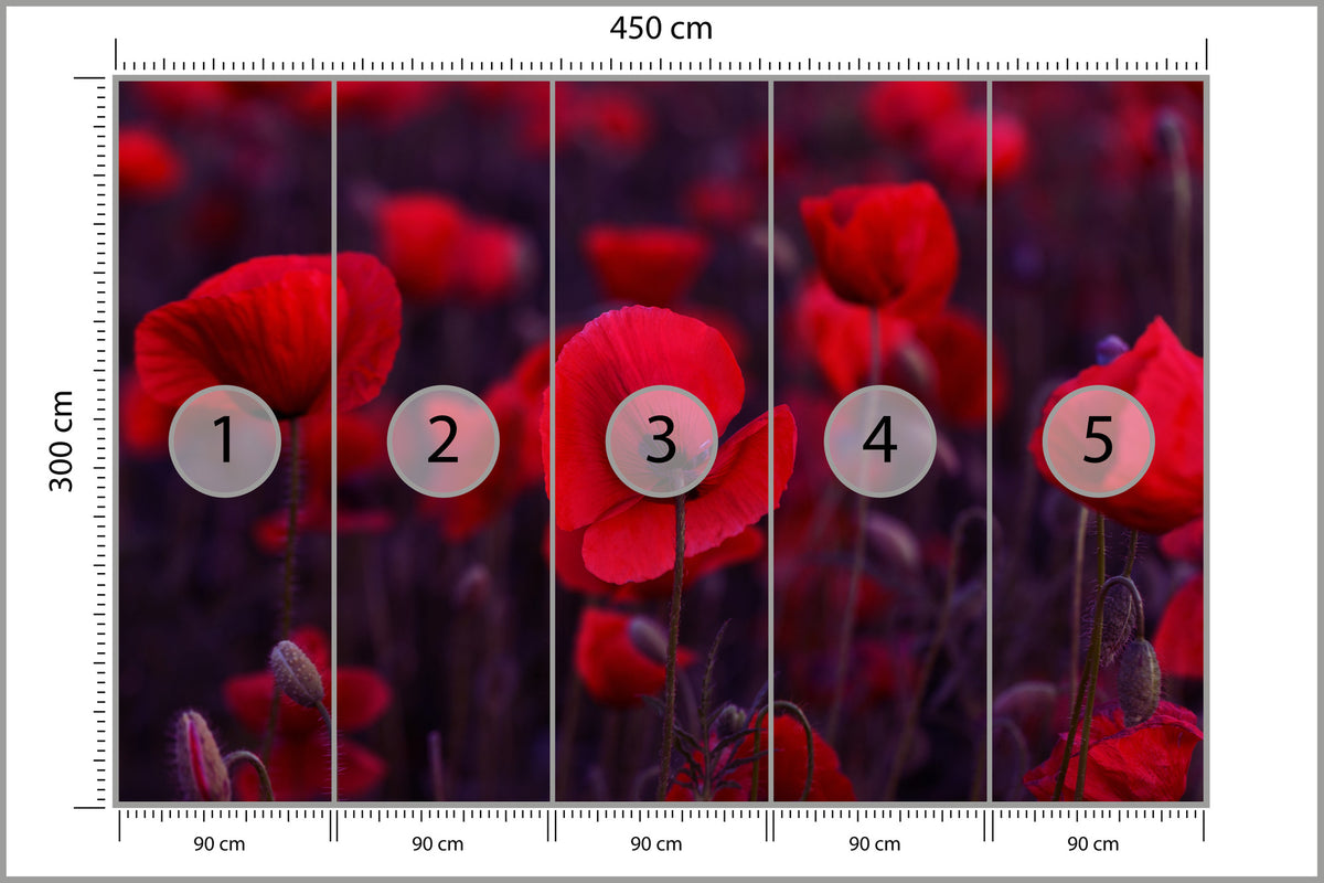 Fototapeta Dzikie Czerwone Maki 450 × 300 cm – podgląd kadru