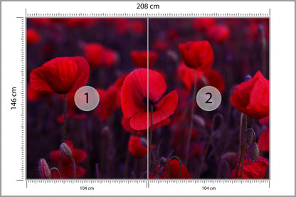 Fototapeta Dzikie Czerwone Maki 208 × 146 cm – podgląd kadru