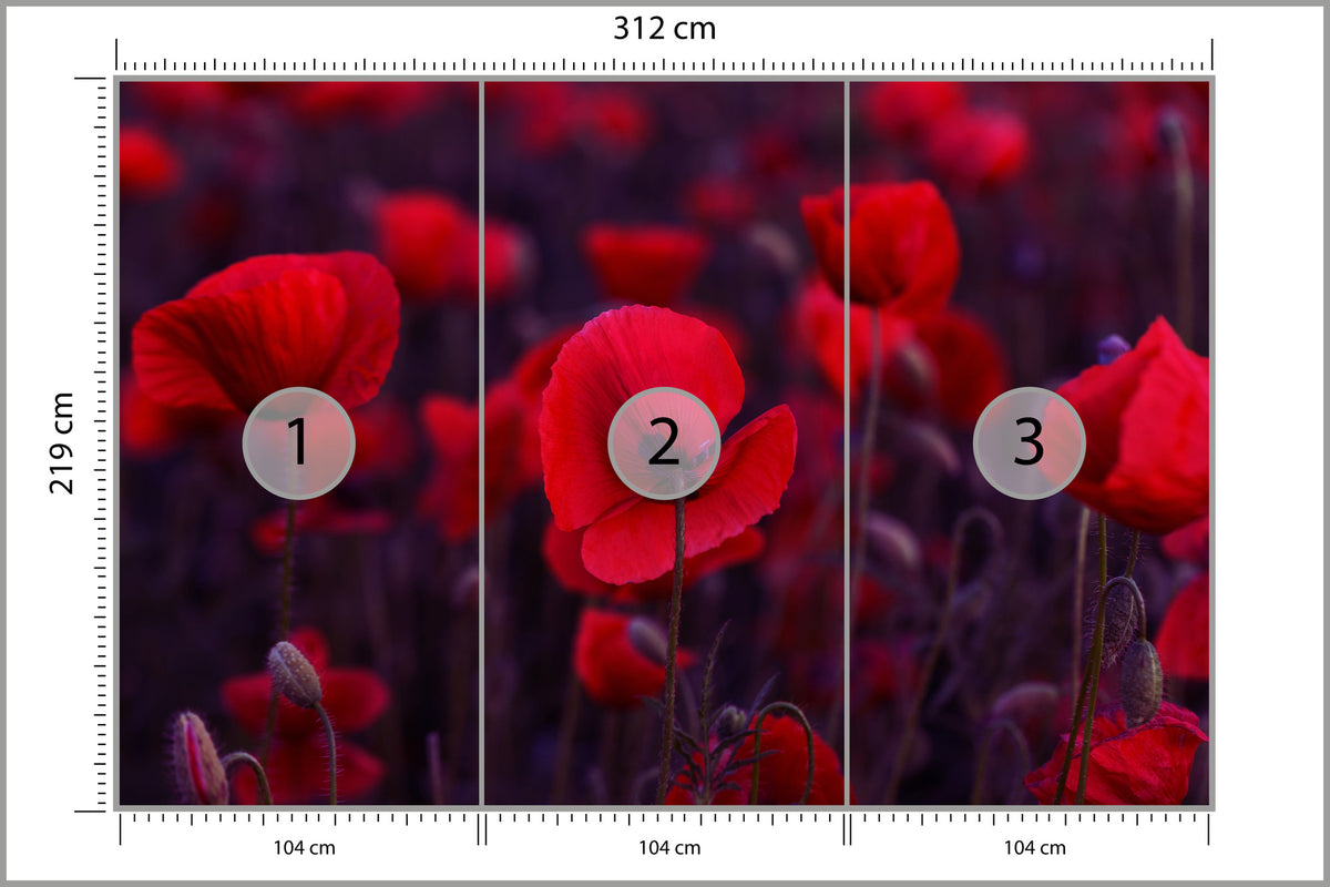 Fototapeta Dzikie Czerwone Maki 312 × 219 cm – podgląd kadru