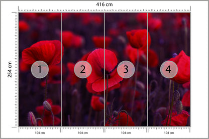 Fototapeta Dzikie Czerwone Maki 416 × 254 cm – podgląd kadru