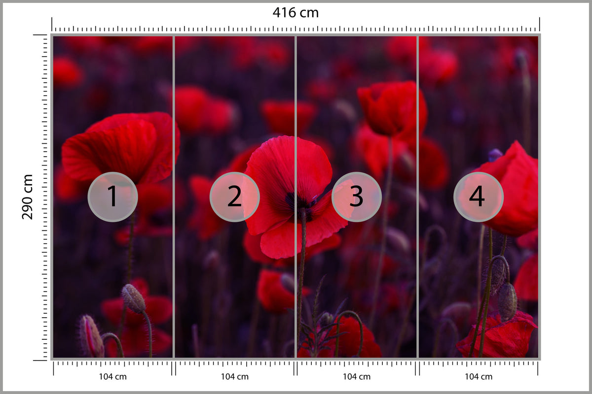 Fototapeta Dzikie Czerwone Maki 416 × 290 cm – podgląd kadru