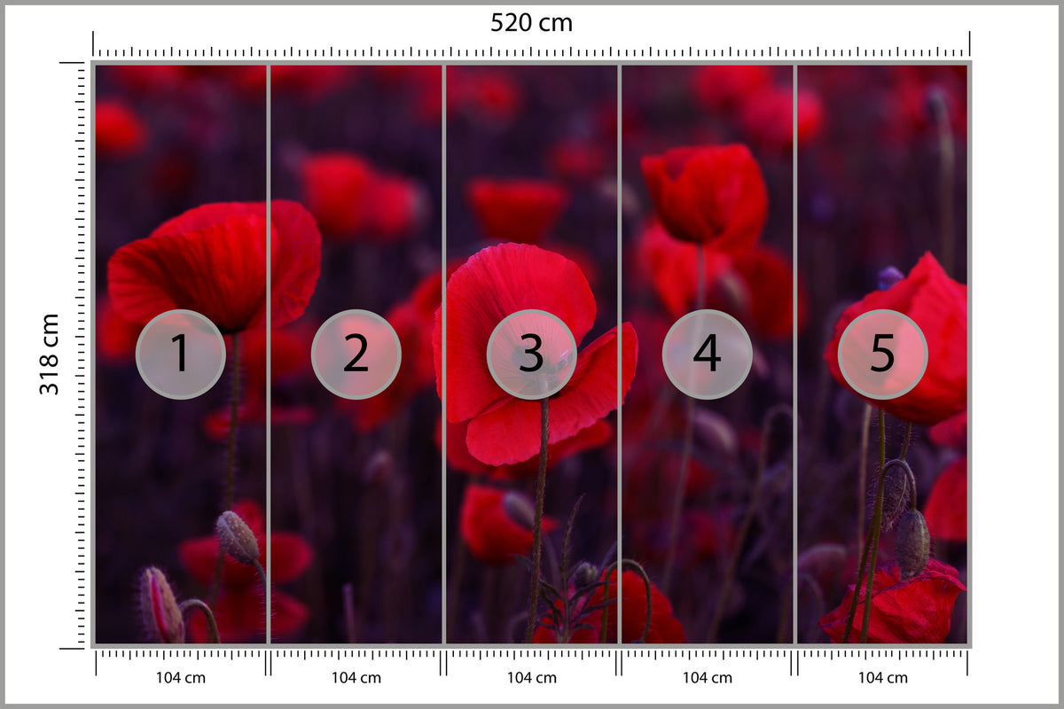 Fototapeta Dzikie Czerwone Maki 520 × 318 cm – podgląd kadru