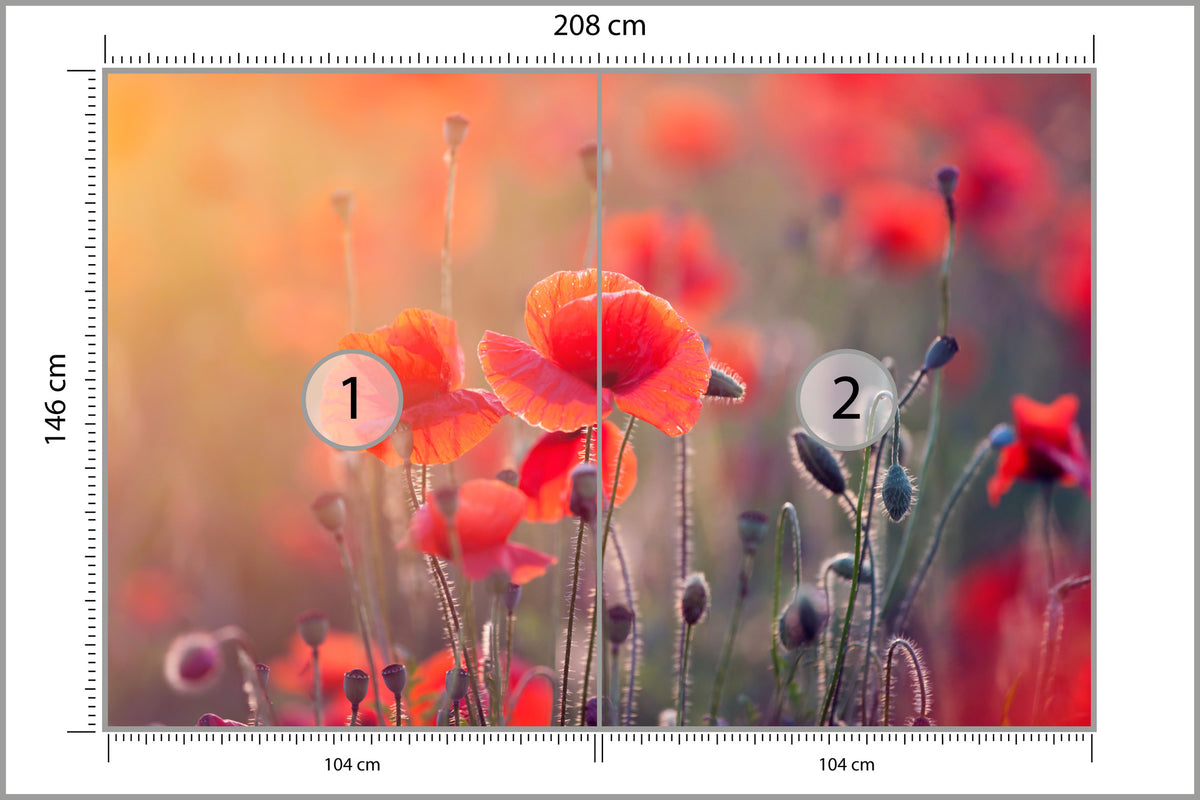 Fototapeta Pole Maków Z Bliska 208 × 146 cm – podgląd kadru