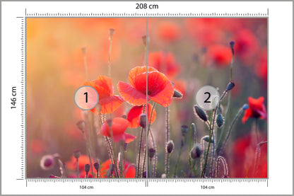 Fototapeta Pole Maków Z Bliska 208 × 146 cm – podgląd kadru