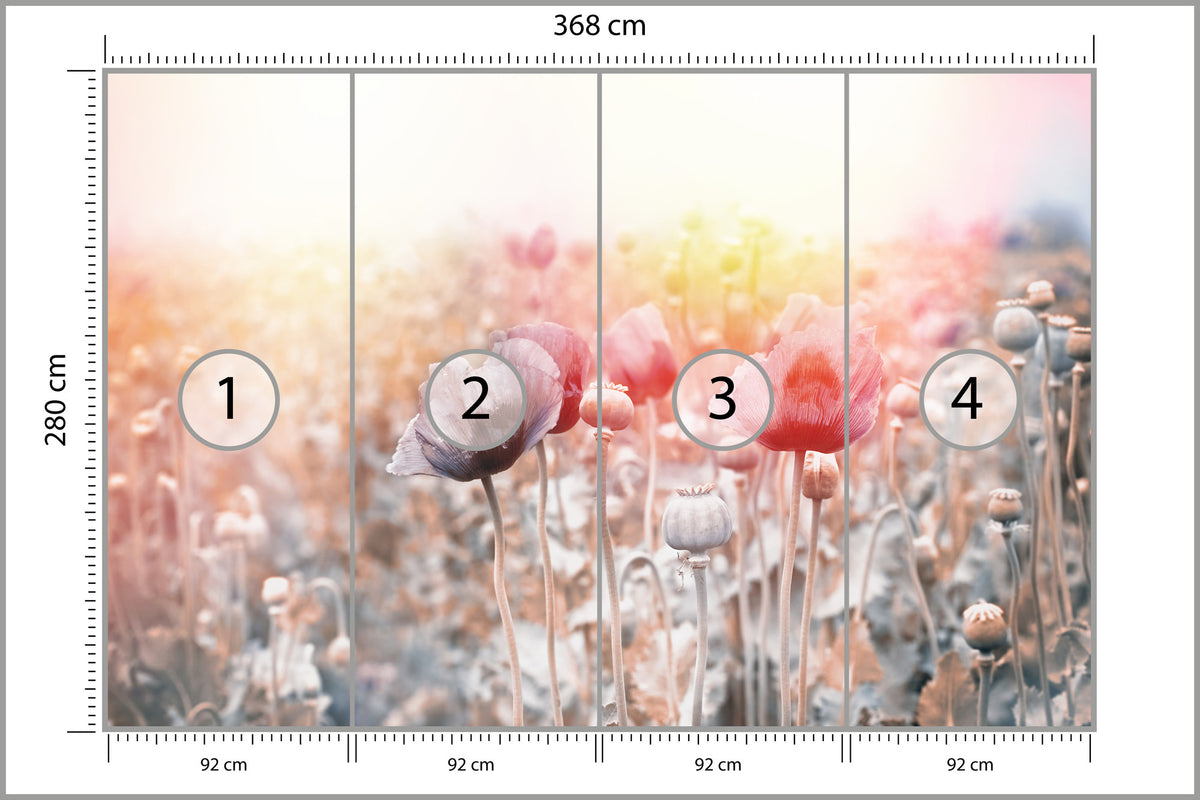 Fototapeta Pole Maków Pastelowe 368 × 280 cm – podgląd kadru