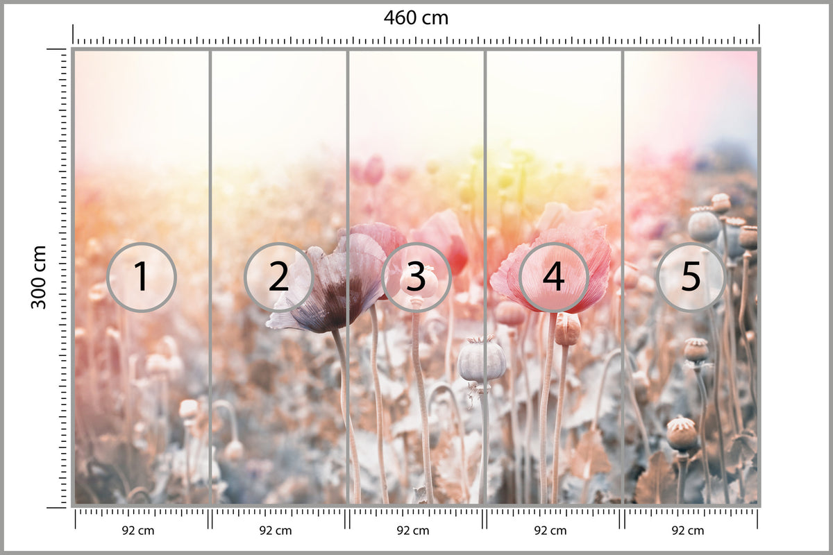 Fototapeta Pole Maków Pastelowe 460 × 300 cm – podgląd kadru