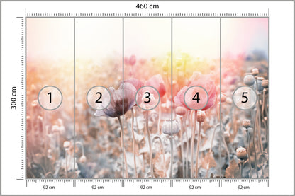 Fototapeta Pole Maków Pastelowe 460 × 300 cm – podgląd kadru