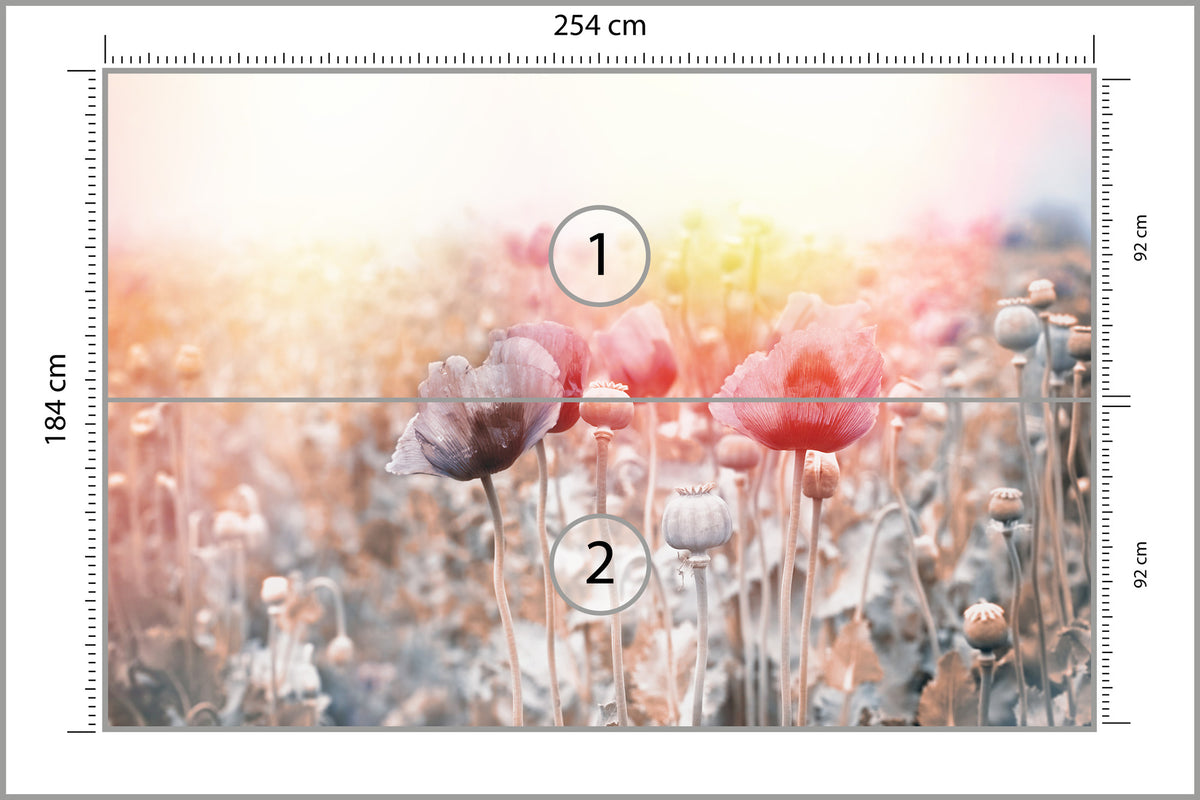 Fototapeta Pole Maków Pastelowe 254 × 184 cm – podgląd kadru