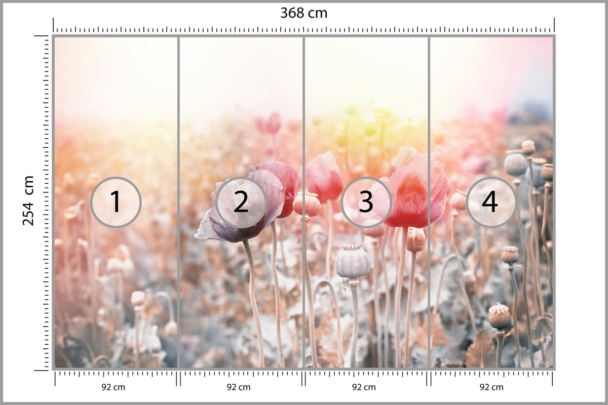 Fototapeta Pole Maków Pastelowe 368 × 254 cm – podgląd kadru