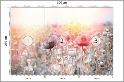 Fototapeta Pole Maków Pastelowe 300 × 210 cm – podgląd kadru