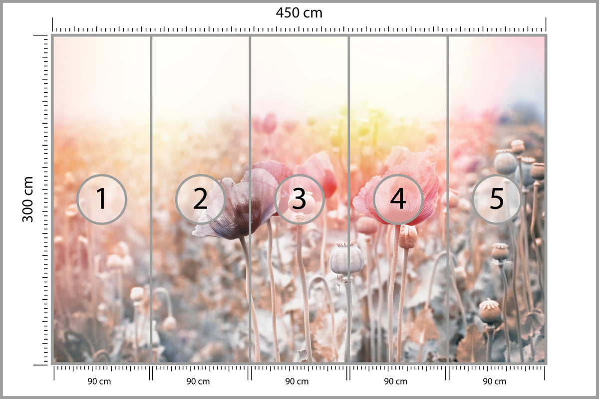 Fototapeta Pole Maków Pastelowe 450 × 300 cm – podgląd kadru