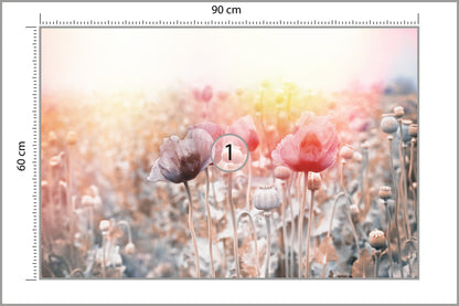 Fototapeta Pole Maków Pastelowe 90 × 60 cm – podgląd kadru