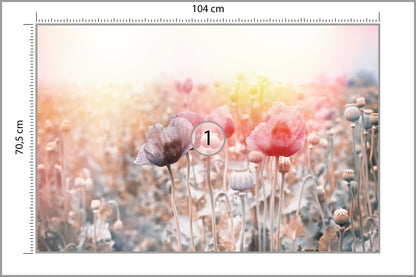 Fototapeta Pole Maków Pastelowe 104 × 70,5 cm – podgląd kadru
