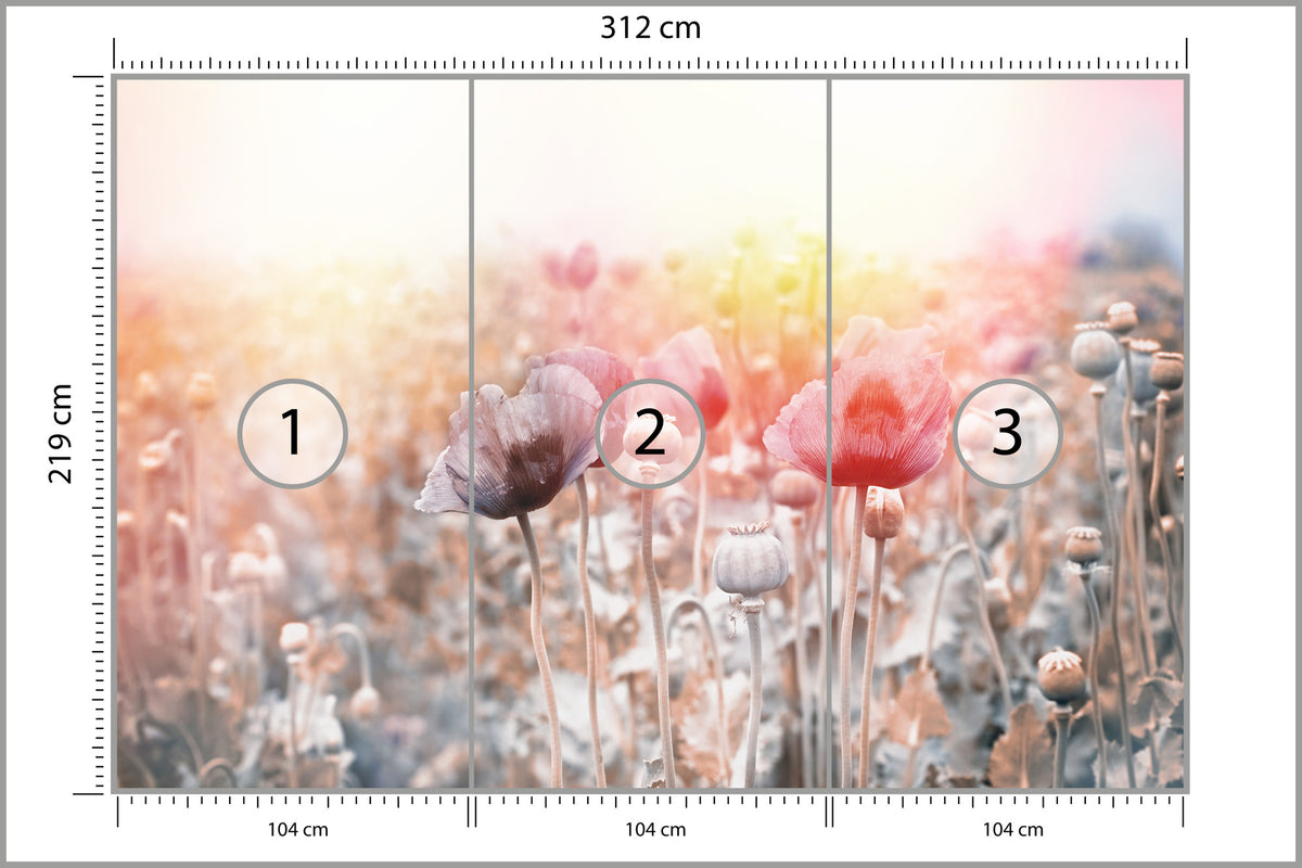 Fototapeta Pole Maków Pastelowe 312 × 219 cm – podgląd kadru