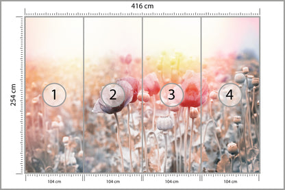 Fototapeta Pole Maków Pastelowe 416 × 254 cm – podgląd kadru